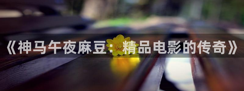 午夜影院 在线观看