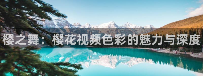星空播剧