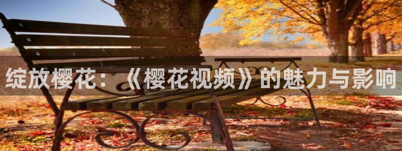星空影视免费观看电视剧