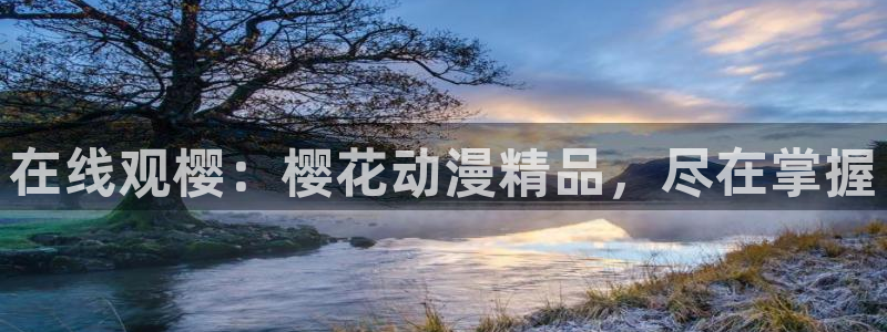 午夜影院在线观看电视剧免费播放电视剧