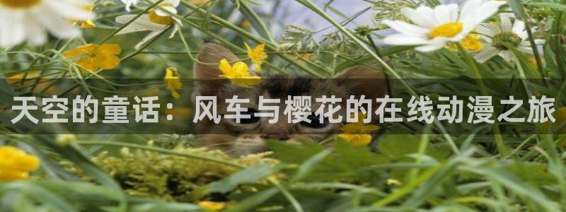 午夜影院在线观看免费下载