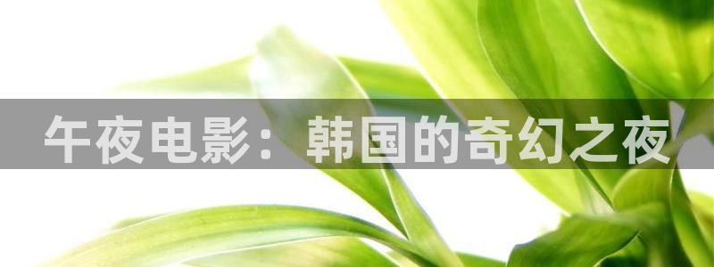 哈哈哈哈哈第二季免费观看完整版午夜影院