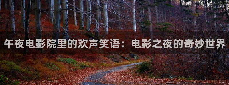 午夜影院旧版