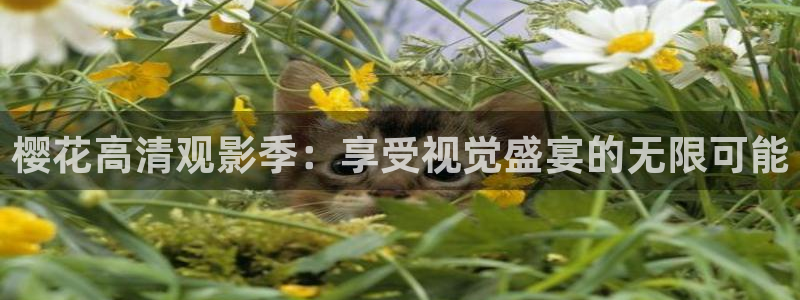 午夜影院电视剧免费观看下载
