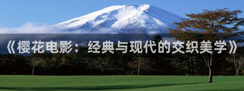 夏至未至电视剧免费观看完整版午夜影院