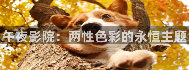 合肥星空今日影讯