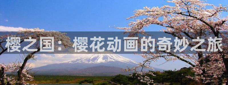 午夜影院免费观看电影2023年上映
