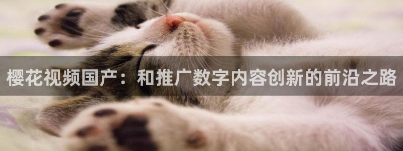 长相思午夜影院