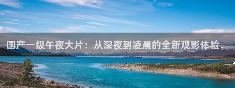 梵高的星空的电影