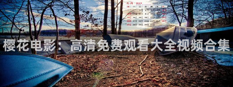 星空影视最新版下载