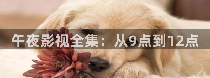 午夜影院高