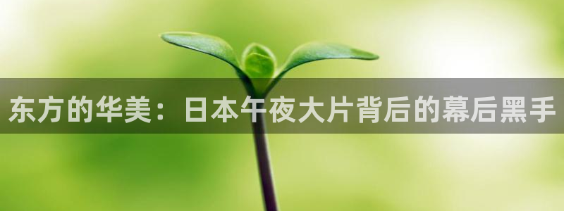 午夜影院电影在线看
