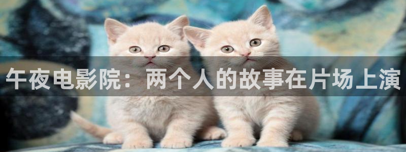 午夜影院免费观看电视剧电影