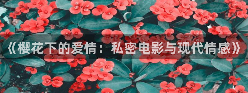 星空影视影院大全