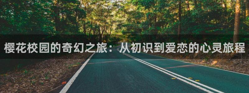 星空传媒 在线观看
