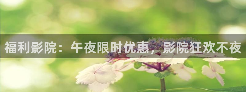 午夜影院免费观看电视剧电影大全