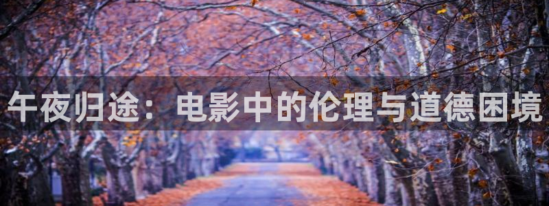 午夜影院电影在线免费观看