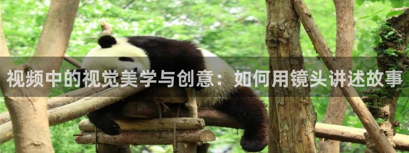 琅琊榜午夜影院