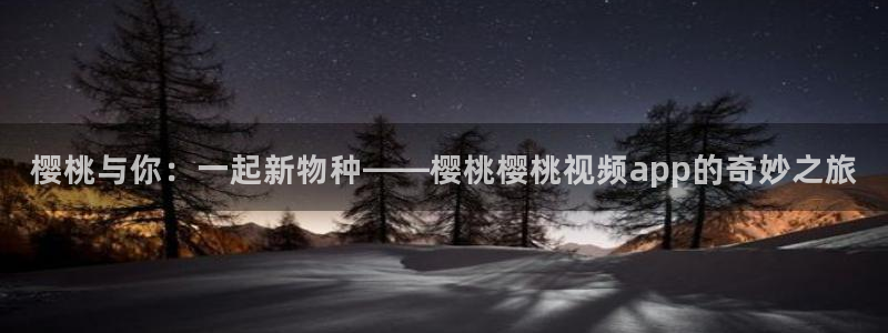 星空影视手机