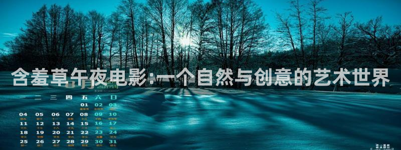 星空影视免费下载安装