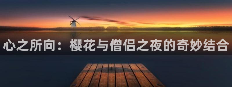 星空高清在线观看免费