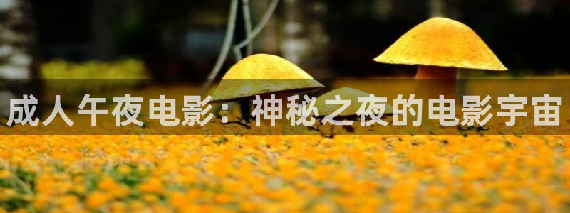 午夜影院官网免费观看