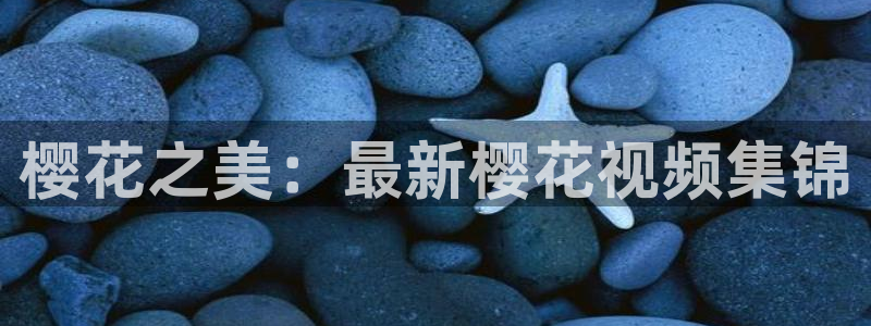 95版包青天吕良伟国语版午夜影院